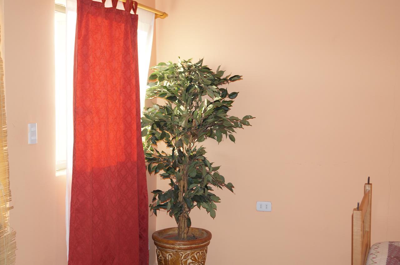 סן פדרו דה אטקאמה Hostal Intipara מראה חיצוני תמונה
